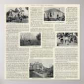 Riverdale Prune Orchard, Californië Poster (Voorkant)