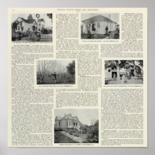 Riverdale Prune Orchard, Californië Poster