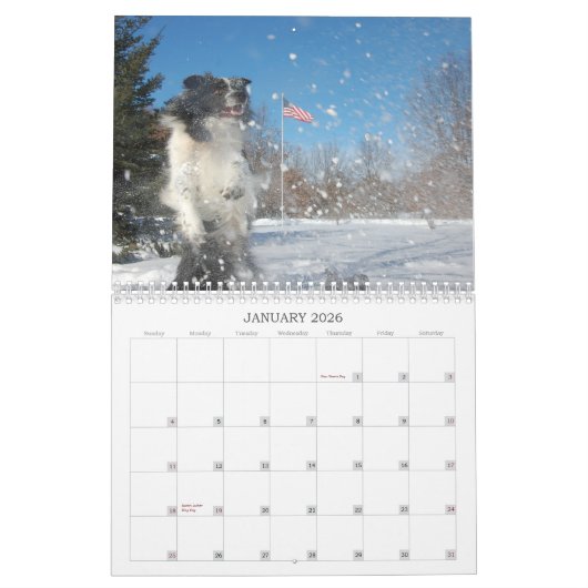 RiverRun Border Collies 2012-agenda Kalender (Jan 2026)