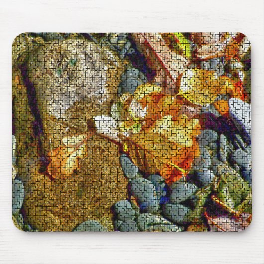 RIVERS MUISMAT (Voorkant)