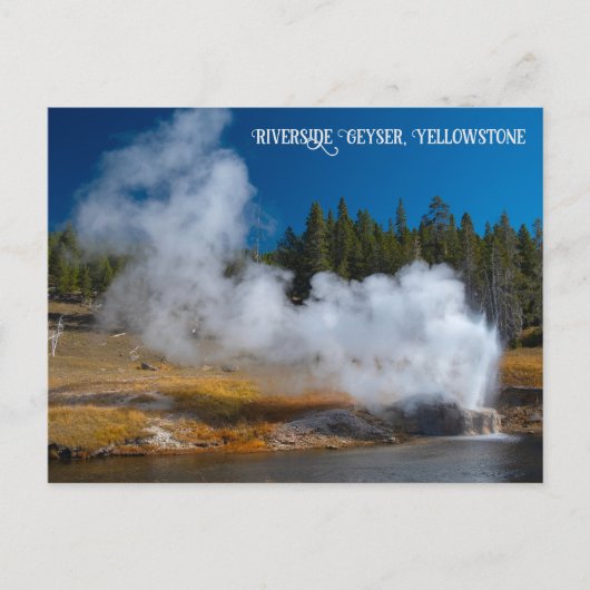 Riverside Geyser Eruption Yellowstone Briefkaart (Voorkant)