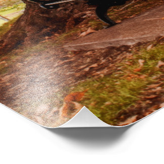 Riverside Park Benches Foto Afdruk