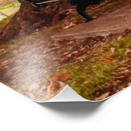 Riverside Park Benches Foto Afdruk (Hoek)