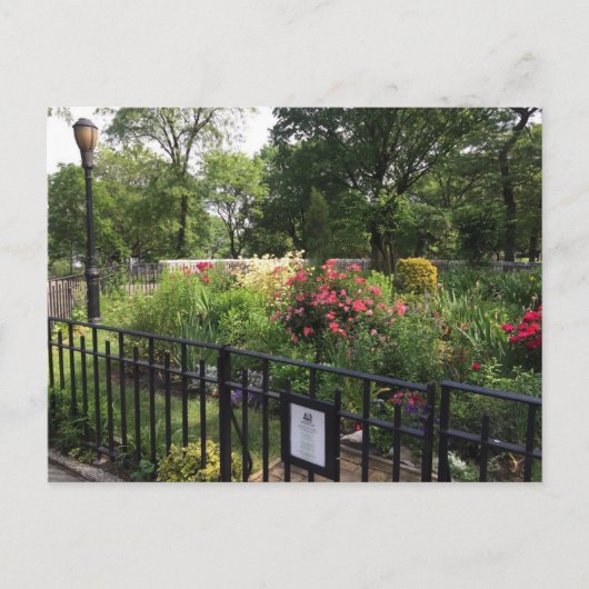 Riverside Park Garden New York City NYC Briefkaart (Voorkant)