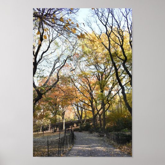 Riverside Park Herfst Foliage New York Autumn NYC Poster (Voorkant)