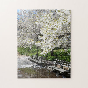 Riverside Park Spring Cherry Blossom New York NYC Legpuzzel