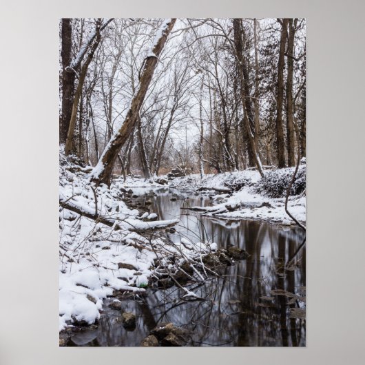 Riverside Snow Poster (Voorkant)