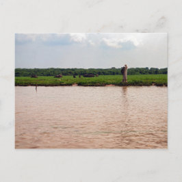 Riverside Water Buffalo en Fisherman, Cambodja Briefkaart