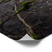 Rivier Bran - Dunkeld Hermitage Poster (Hoek)