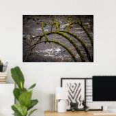Rivier Bran - Dunkeld Hermitage Poster (Thuiskantoor)