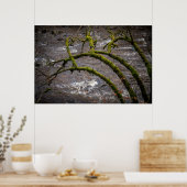 Rivier Bran - Dunkeld Hermitage Poster (Keuken)