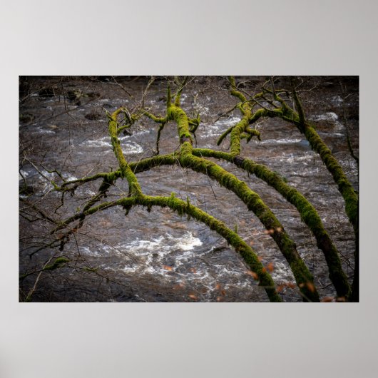 Rivier Bran - Dunkeld Hermitage Poster (Voorkant)