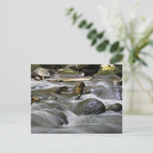 rivier briefkaart (Staand voorkant)