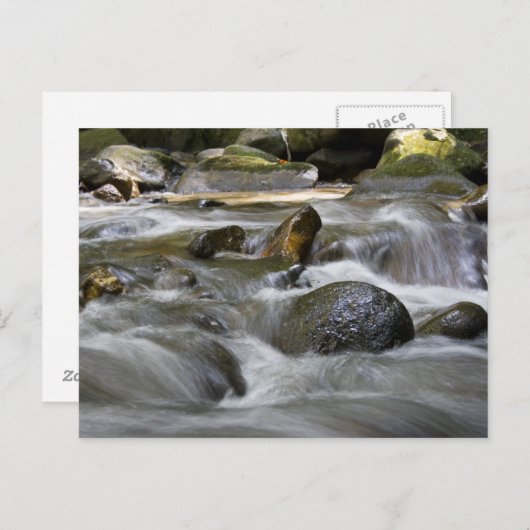 rivier briefkaart (Voorkant / Achterkant)