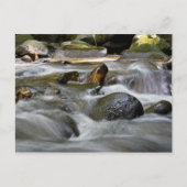 rivier briefkaart (Voorkant)