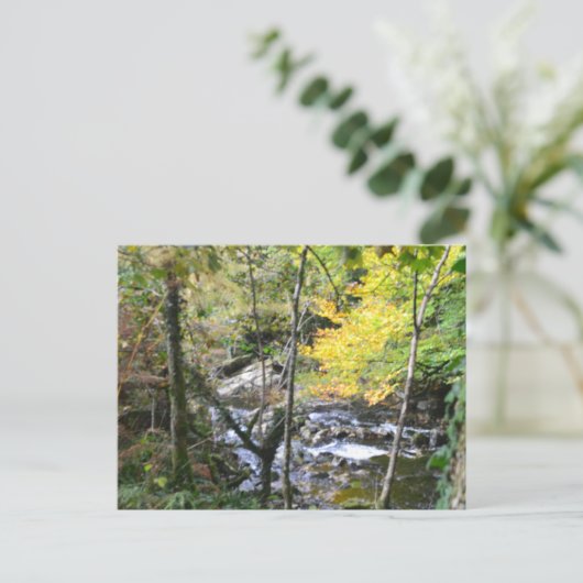 rivier briefkaart (Staand voorkant)