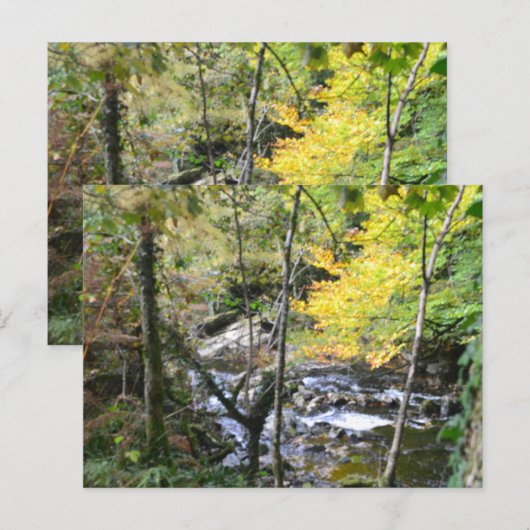 rivier briefkaart (Voorkant / Achterkant)