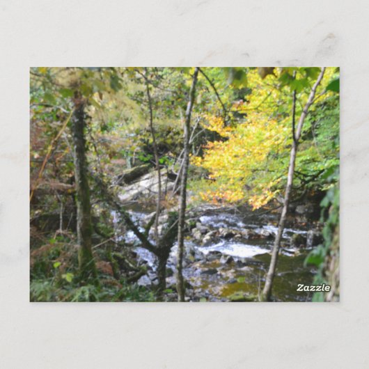 rivier briefkaart (Achterkant)