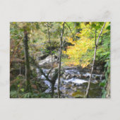 rivier briefkaart (Voorkant)