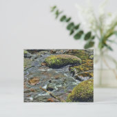 Rivier Dart bij Dartmeet Dartmoor Briefkaart (Staand voorkant)