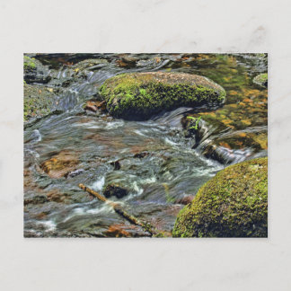 Rivier Dart bij Dartmeet Dartmoor Briefkaart