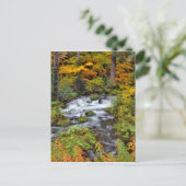 Rivier door bos, herfst, Oregon Briefkaart (Staand voorkant)