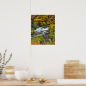 Rivier door bos, herfst, Oregon Poster (Keuken)