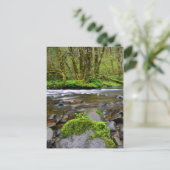 Rivier in groen bos, Oregon Briefkaart (Staand voorkant)