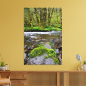 Rivier in groen bos, Oregon Canvas Afdruk (Insitu (Woonkamer))