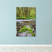 Rivier in groen bos, Oregon Canvas Afdruk (Insitu (Houten vloer))