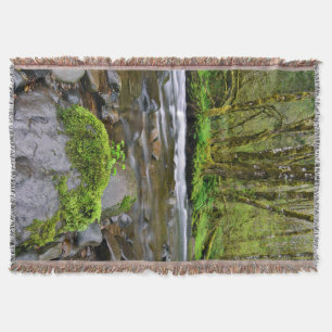 Rivier in groen bos, Oregon Deken