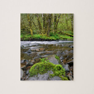 Rivier in groen bos, Oregon Legpuzzel
