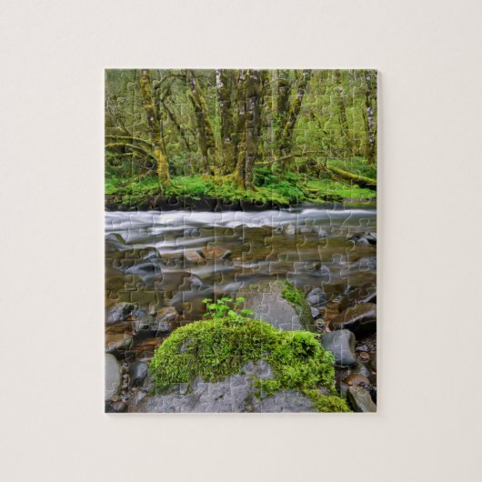 Rivier in groen bos, Oregon Legpuzzel (Verticaal)