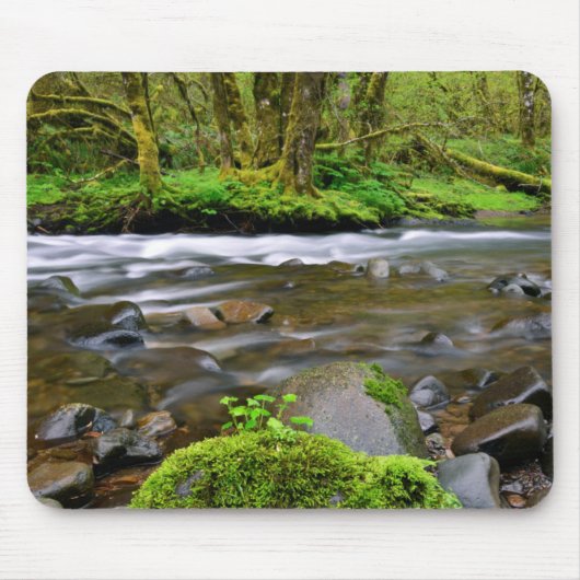 Rivier in groen bos, Oregon Muismat (Voorkant)