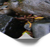Rivier in groen bos, Oregon Poster (Hoek)