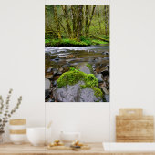 Rivier in groen bos, Oregon Poster (Keuken)