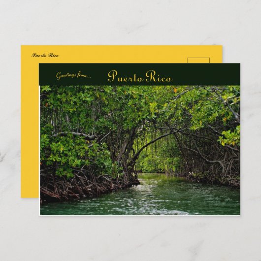 Rivier in Puerto Rico Briefkaart (Voorkant / Achterkant)