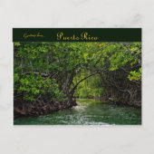 Rivier in Puerto Rico Briefkaart (Voorkant)