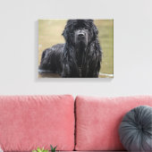 Rivier Newfoundland Canvas Foto Afdruk (Insitu (Woonkamer))