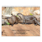 Rivier Otters 2026 Kalender (Hoes)