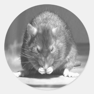 rivier ronde sticker