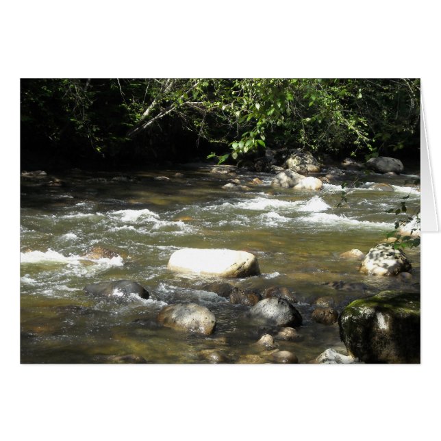 Rivier Scène (Voorkant Horizontaal)