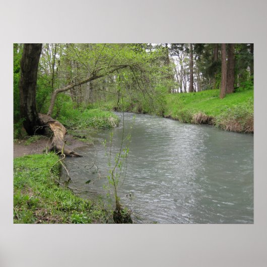 Rivier Scène Poster (Voorkant)