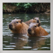 "Rivier Sereniteit: Capybaras Zwemmen in de Stroom Poster (Voorkant)