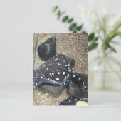 Rivier Stingray # 14 Briefkaart (Staand voorkant)