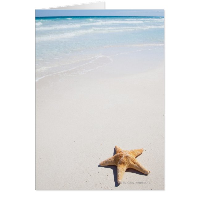 Riviera Maya (Voorkant)