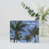 Riviera Maya Cancun Mexico Caribbean Palm Trees Briefkaart (Staand voorkant)