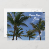 Riviera Maya Cancun Mexico Caribbean Palm Trees Briefkaart (Voorkant / Achterkant)