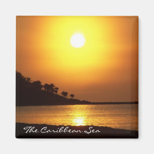 Riviera Maya Cancun Mexico Caribbean Zee Magnet