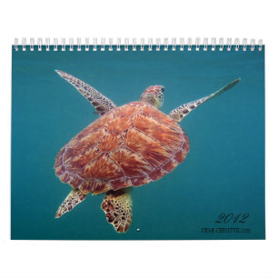 Riviera Maya Mexico Agenda Kalender